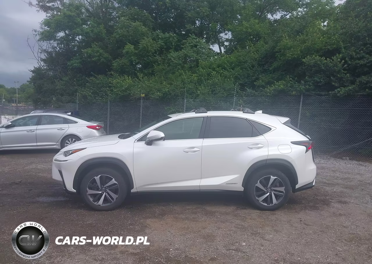 2018 Lexus Nx 300H VIN:JTJBJRBZ9J2080133 - 14