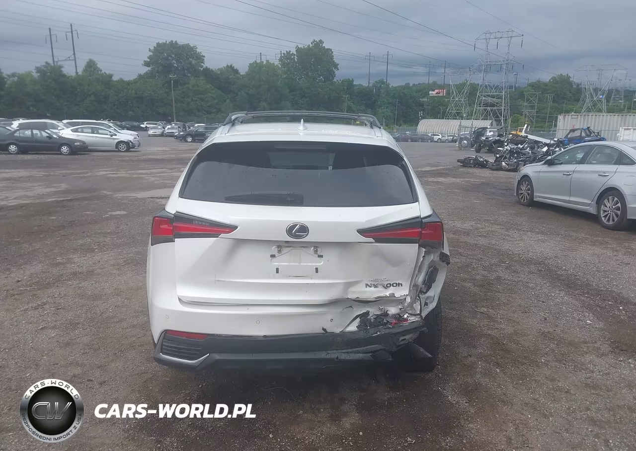 2018 Lexus Nx 300H VIN:JTJBJRBZ9J2080133 - 16