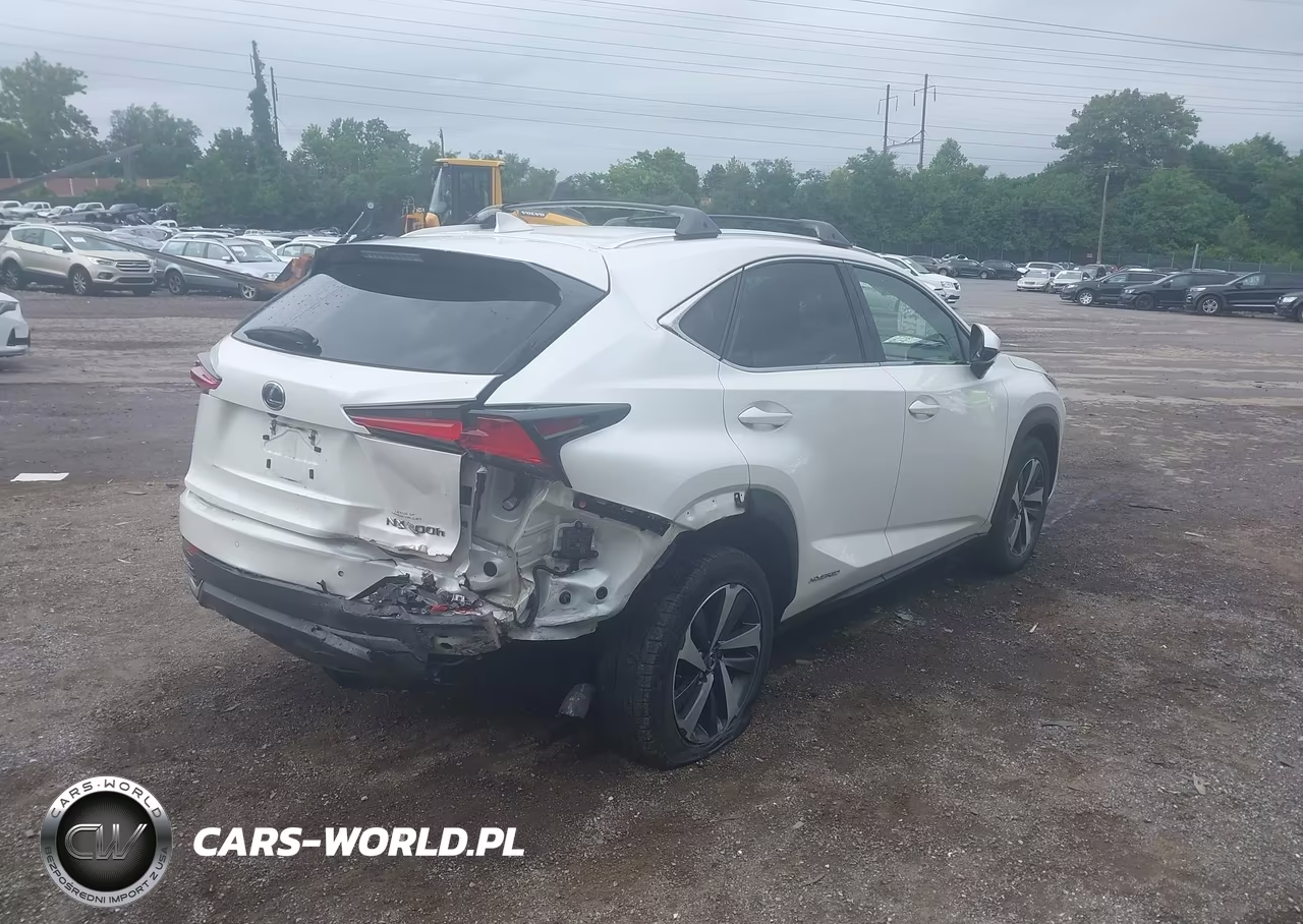 2018 Lexus Nx 300H VIN:JTJBJRBZ9J2080133 - 17