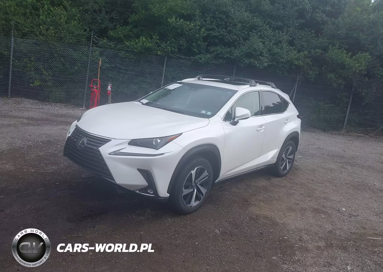 2018 Lexus Nx 300H VIN:JTJBJRBZ9J2080133 - 2