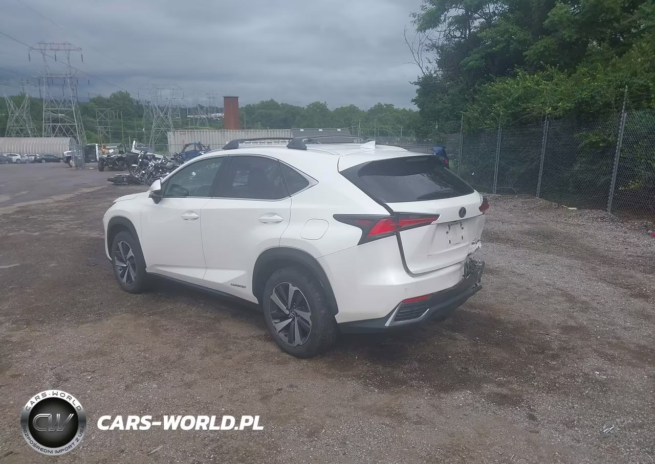 2018 Lexus Nx 300H VIN:JTJBJRBZ9J2080133 - 3