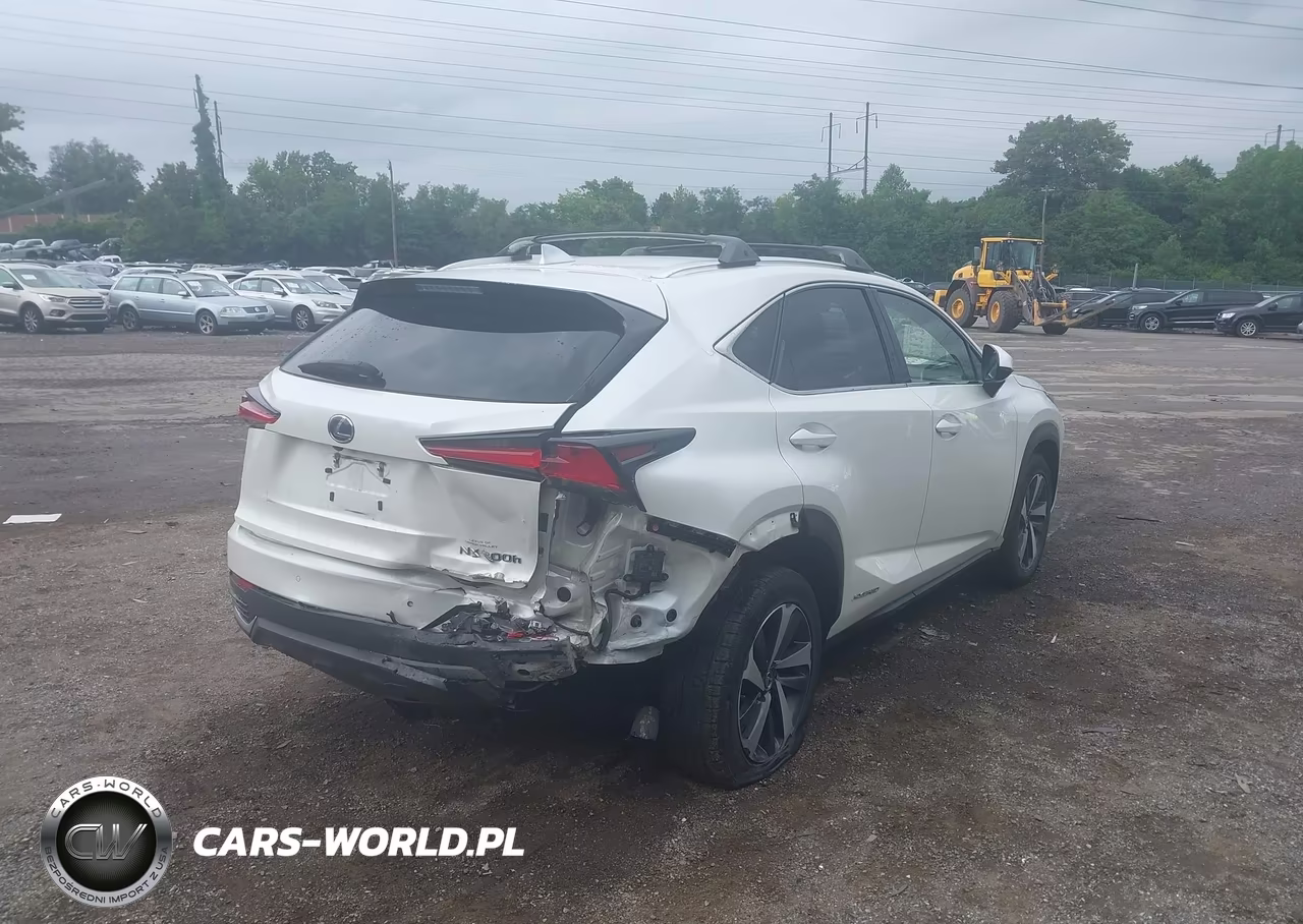 2018 Lexus Nx 300H VIN:JTJBJRBZ9J2080133 - 6