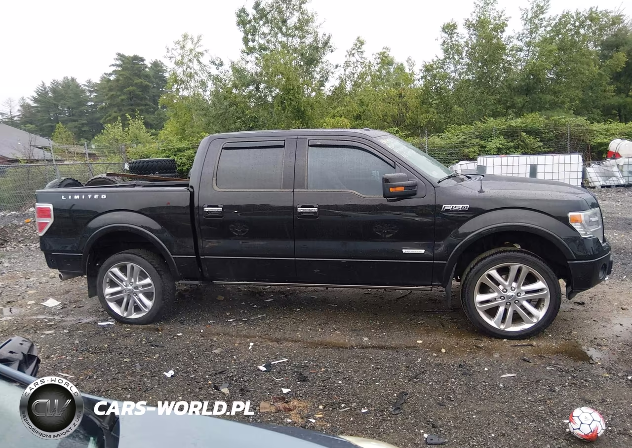 2013 Ford F-150 Limited VIN:1FTFW1ET3DFD87793 - 14
