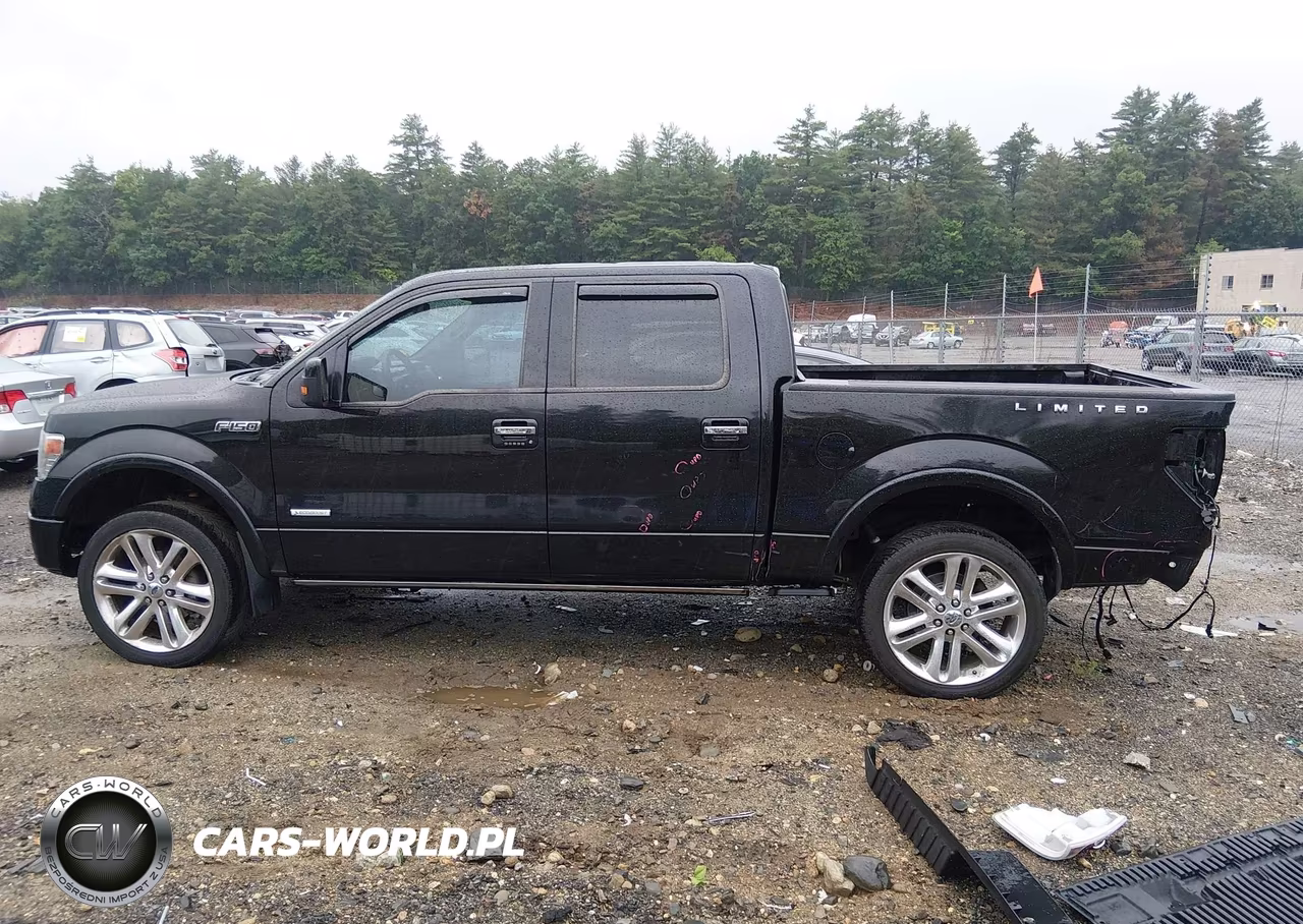 2013 Ford F-150 Limited VIN:1FTFW1ET3DFD87793 - 15