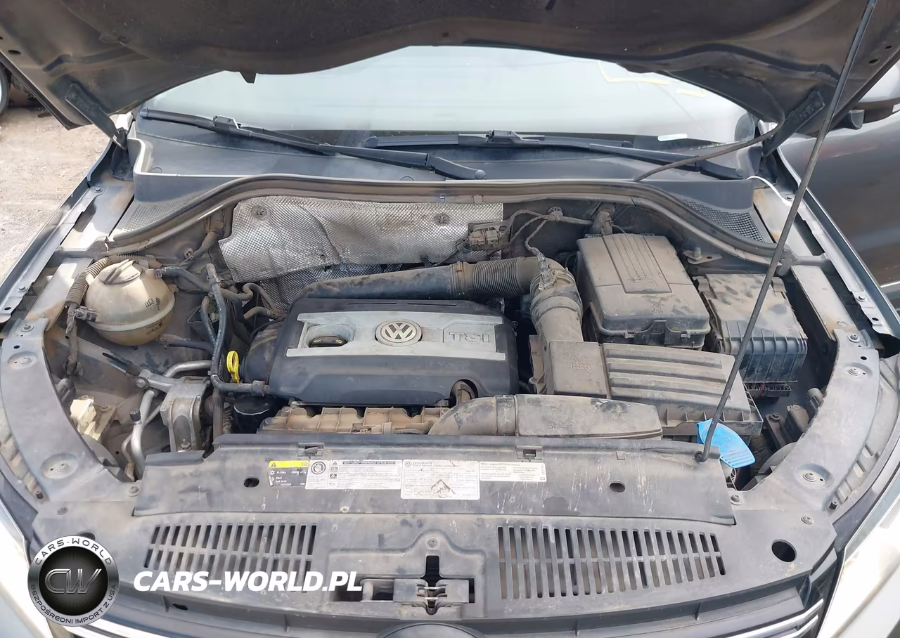 2015 Volkswagen Tiguan Se VIN:WVGAV7AX5FW569275 - 10