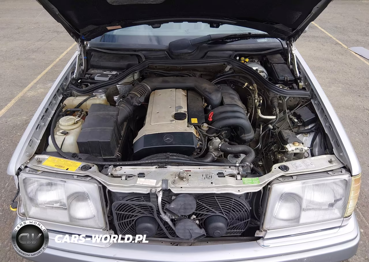 1995 Mercedes-Benz E 320 Base-320 Special VIN:WDBEA32E7SC240952 - 10