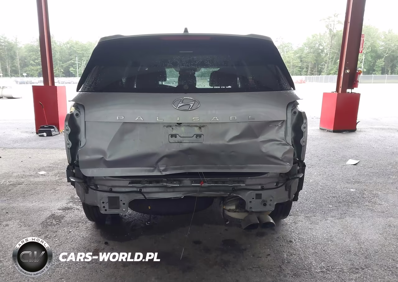 2020 Hyundai Palisade Sel VIN:KM8R4DHE1LU163428 - 17