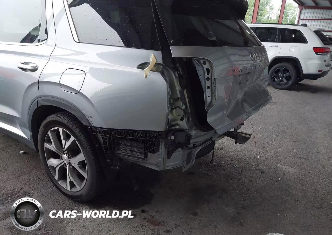 2020 Hyundai Palisade Sel VIN:KM8R4DHE1LU163428 - 18