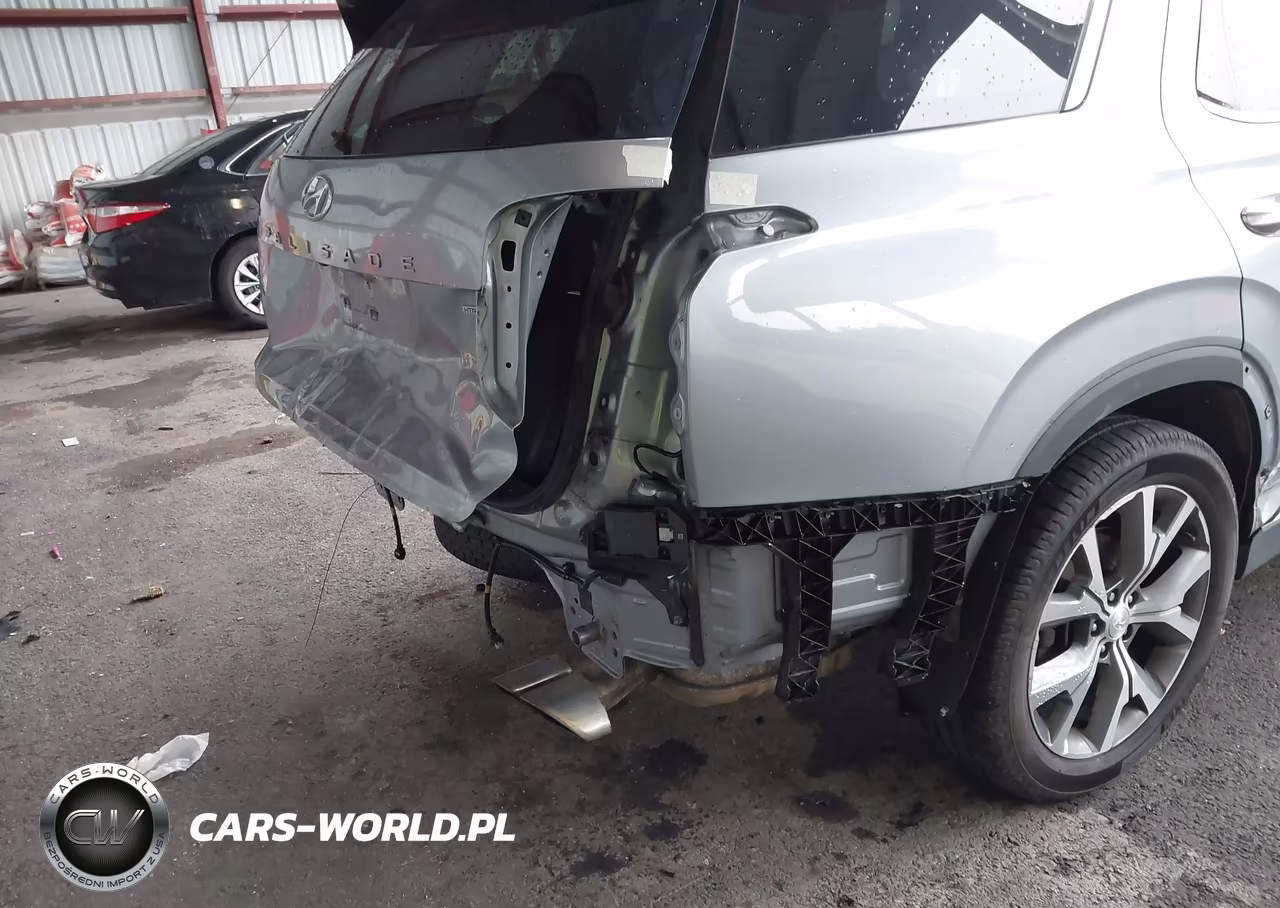 2020 Hyundai Palisade Sel VIN:KM8R4DHE1LU163428 - 19