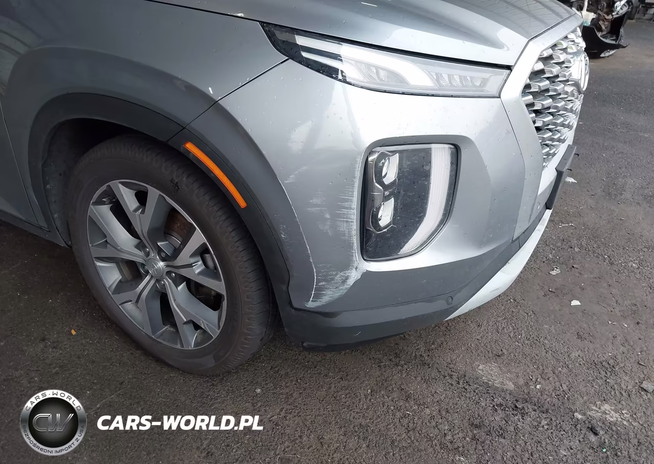 2020 Hyundai Palisade Sel VIN:KM8R4DHE1LU163428 - 21