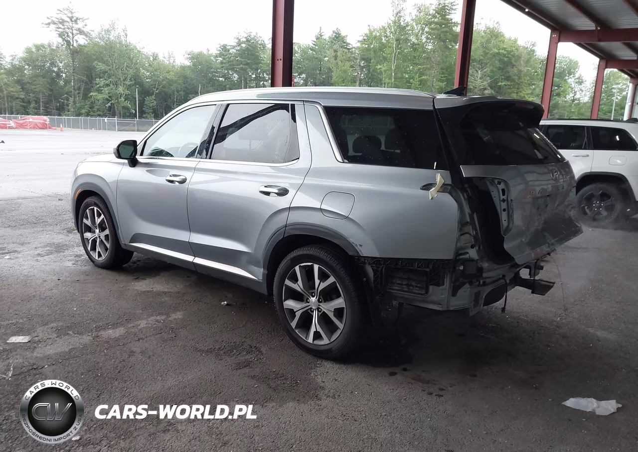 2020 Hyundai Palisade Sel VIN:KM8R4DHE1LU163428 - 3