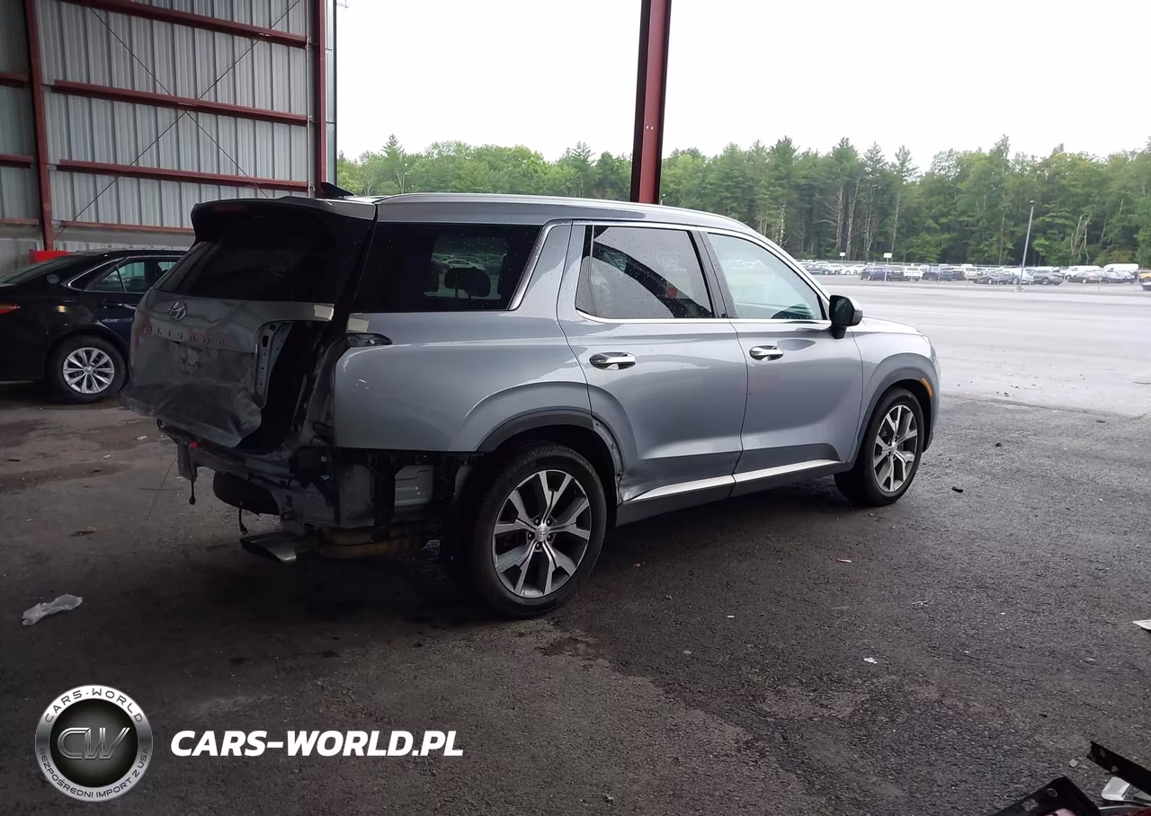2020 Hyundai Palisade Sel VIN:KM8R4DHE1LU163428 - 4