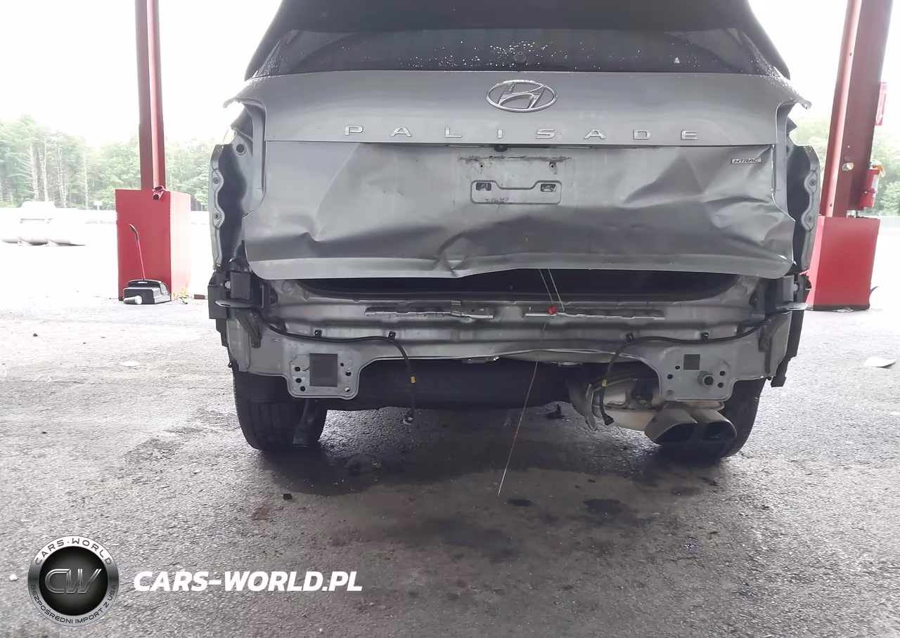 2020 Hyundai Palisade Sel VIN:KM8R4DHE1LU163428 - 6