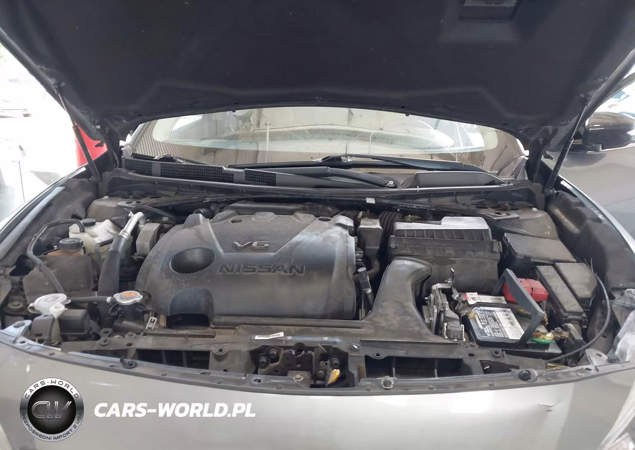 2016 Nissan Maxima 3.5 Sr VIN:1N4AA6AP7GC378203 - 10