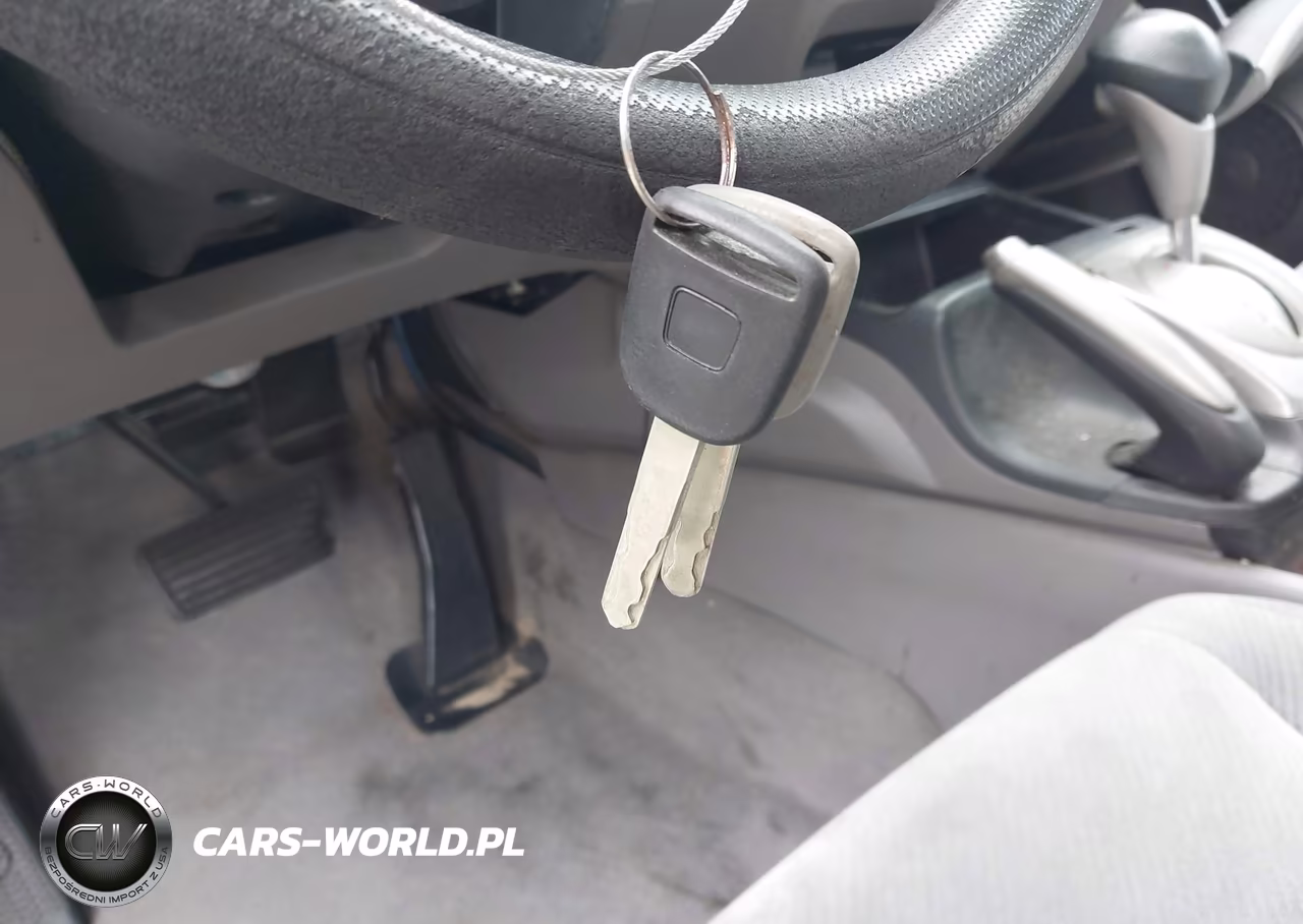 2009 Honda Civic Lx VIN:2HGFA16509H310465 - 11