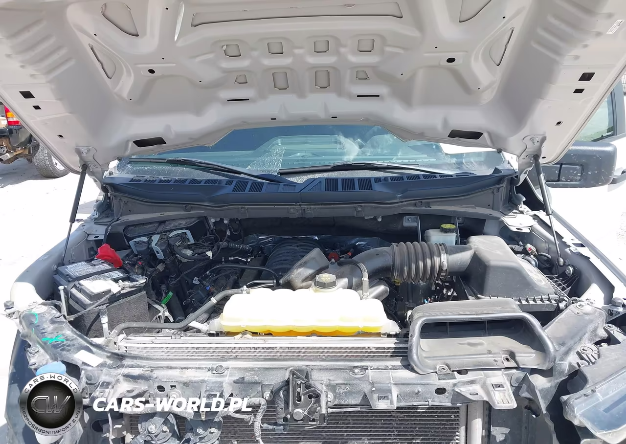 2023 Ford F-150 Xl VIN:1FTFW1E58PKE62663 - 10