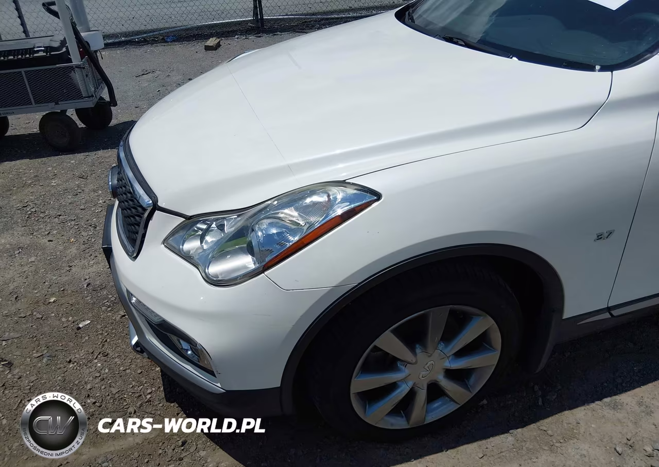 2017 Infiniti Qx50 VIN:JN1BJ0RR1HM417481 - 19