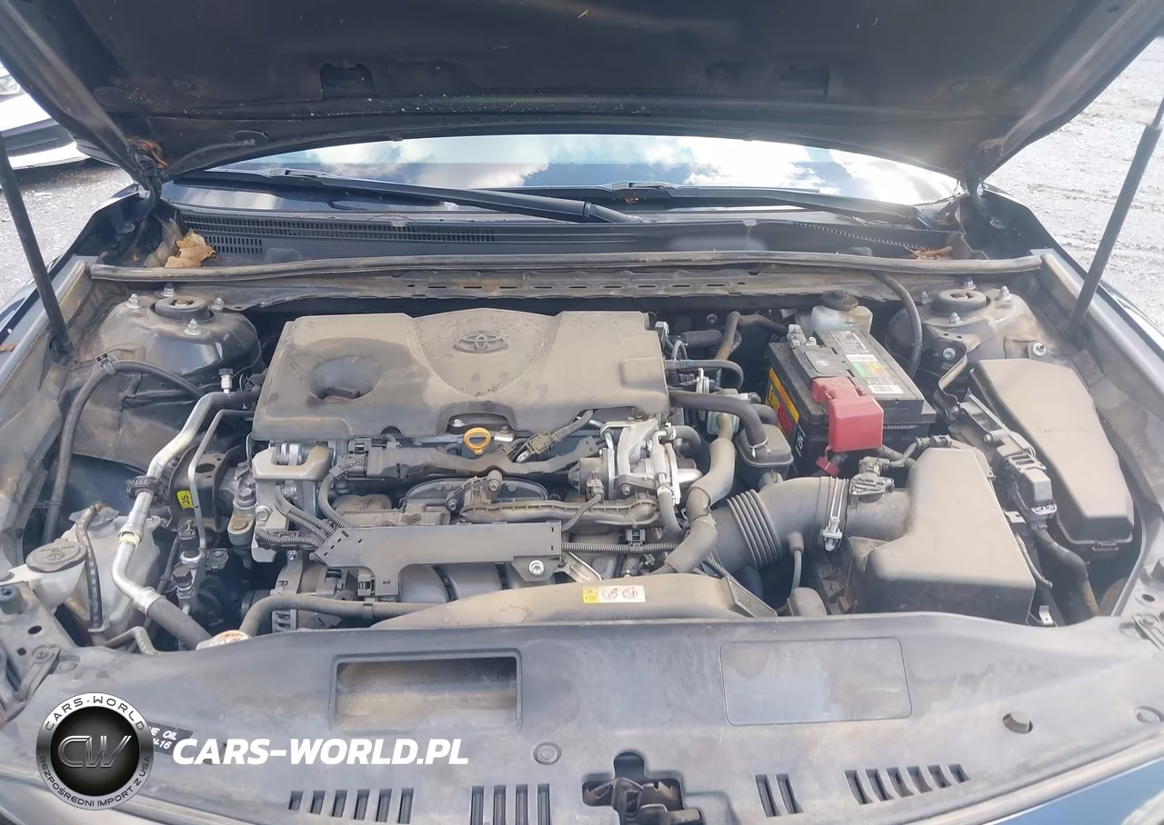 2020 Toyota Camry Se VIN:4T1G11AK0LU504056 - 10