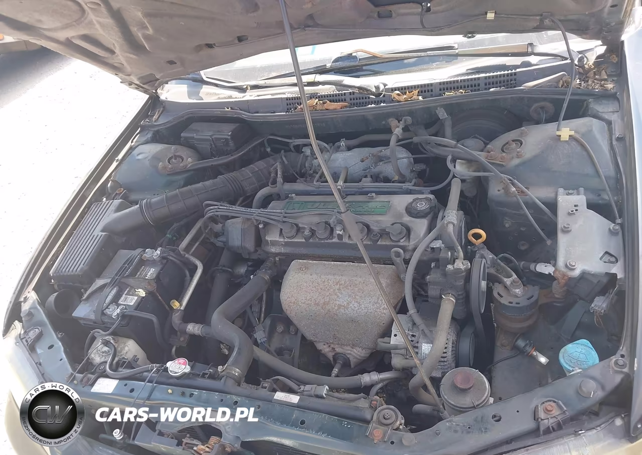 1999 Honda Accord Lx VIN:1HGCG6655XA017994 - 10