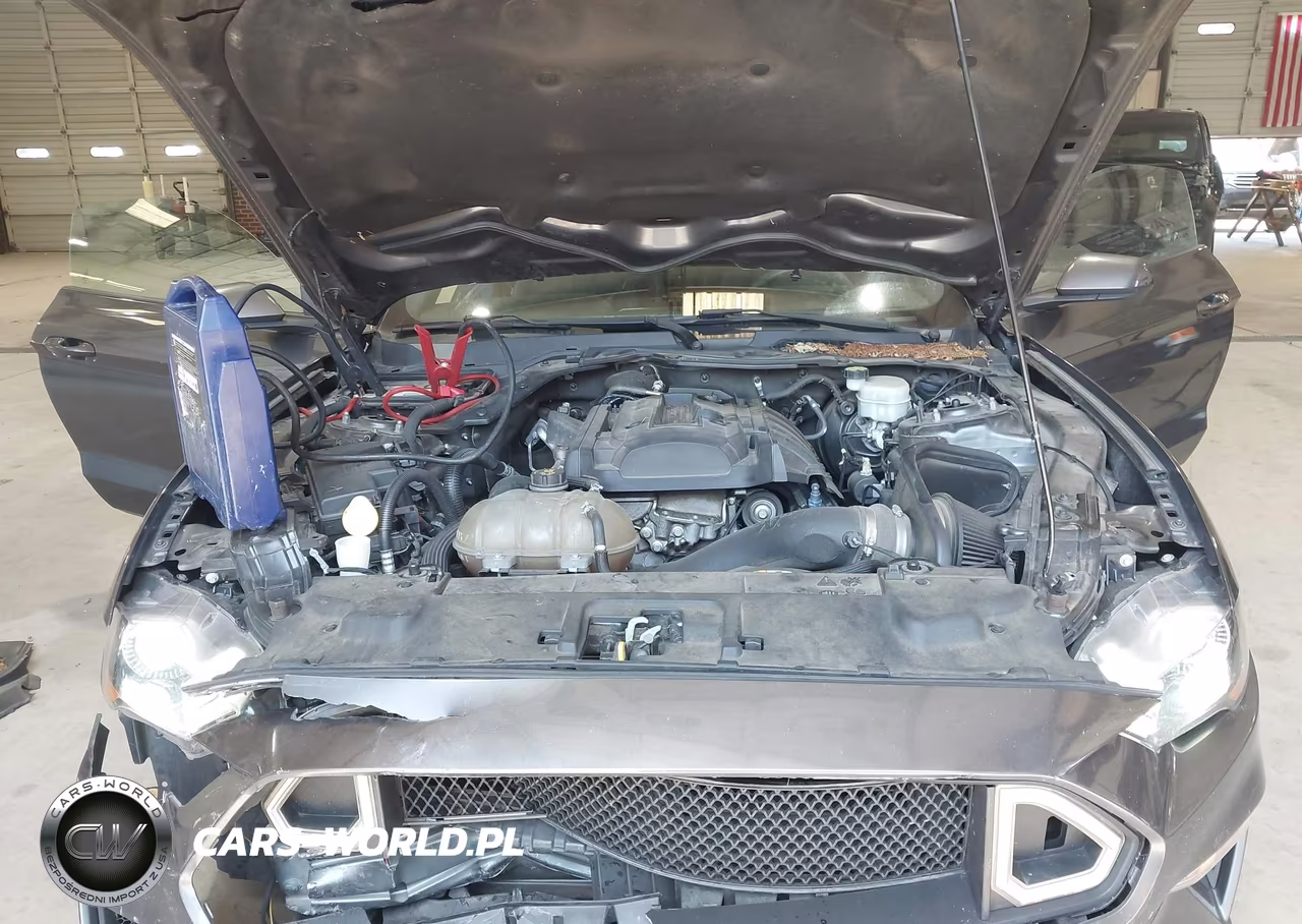2018 Ford Mustang Ecoboost VIN:1FA6P8TH7J5101603 - 10