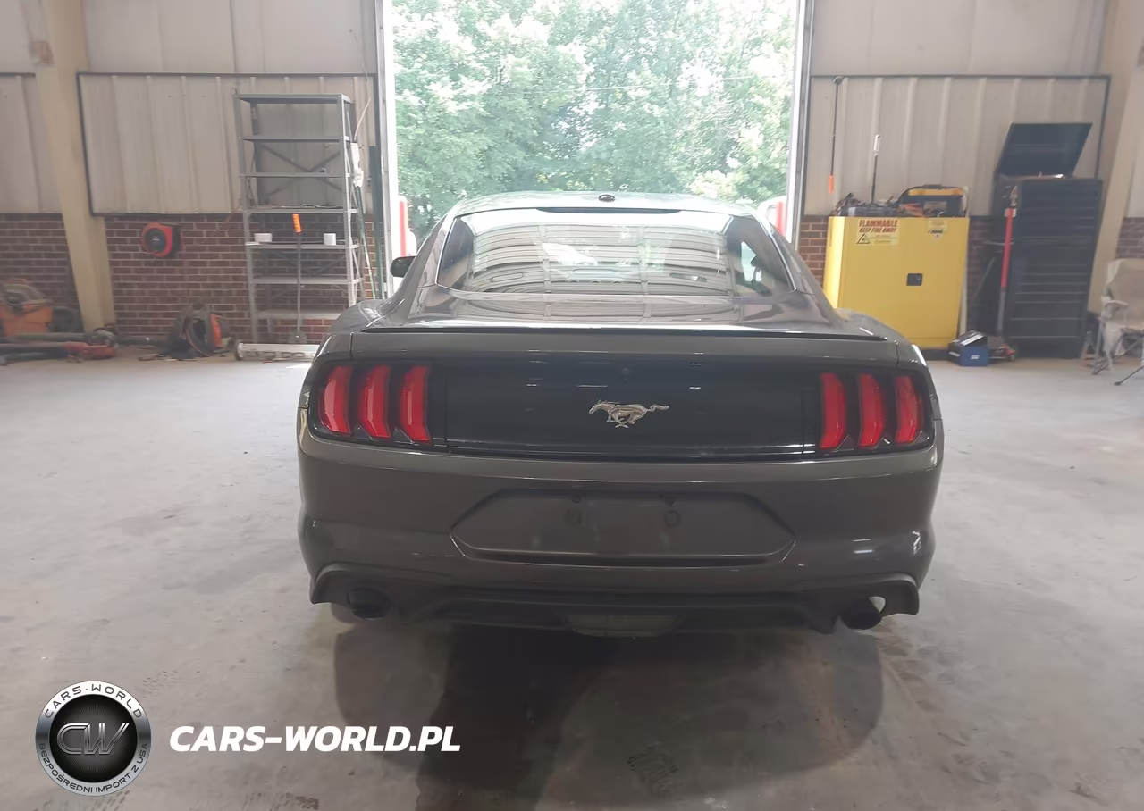 2018 Ford Mustang Ecoboost VIN:1FA6P8TH7J5101603 - 16