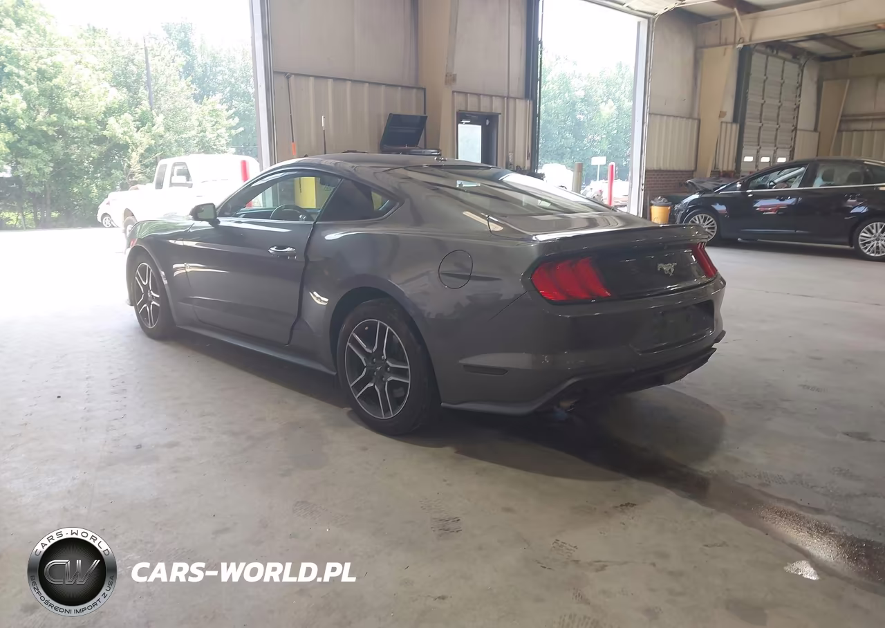 2018 Ford Mustang Ecoboost VIN:1FA6P8TH7J5101603 - 3