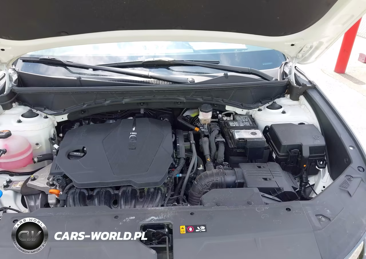 2024 Hyundai Tucson Sel VIN:5NMJBCDE7RH382790 - 10