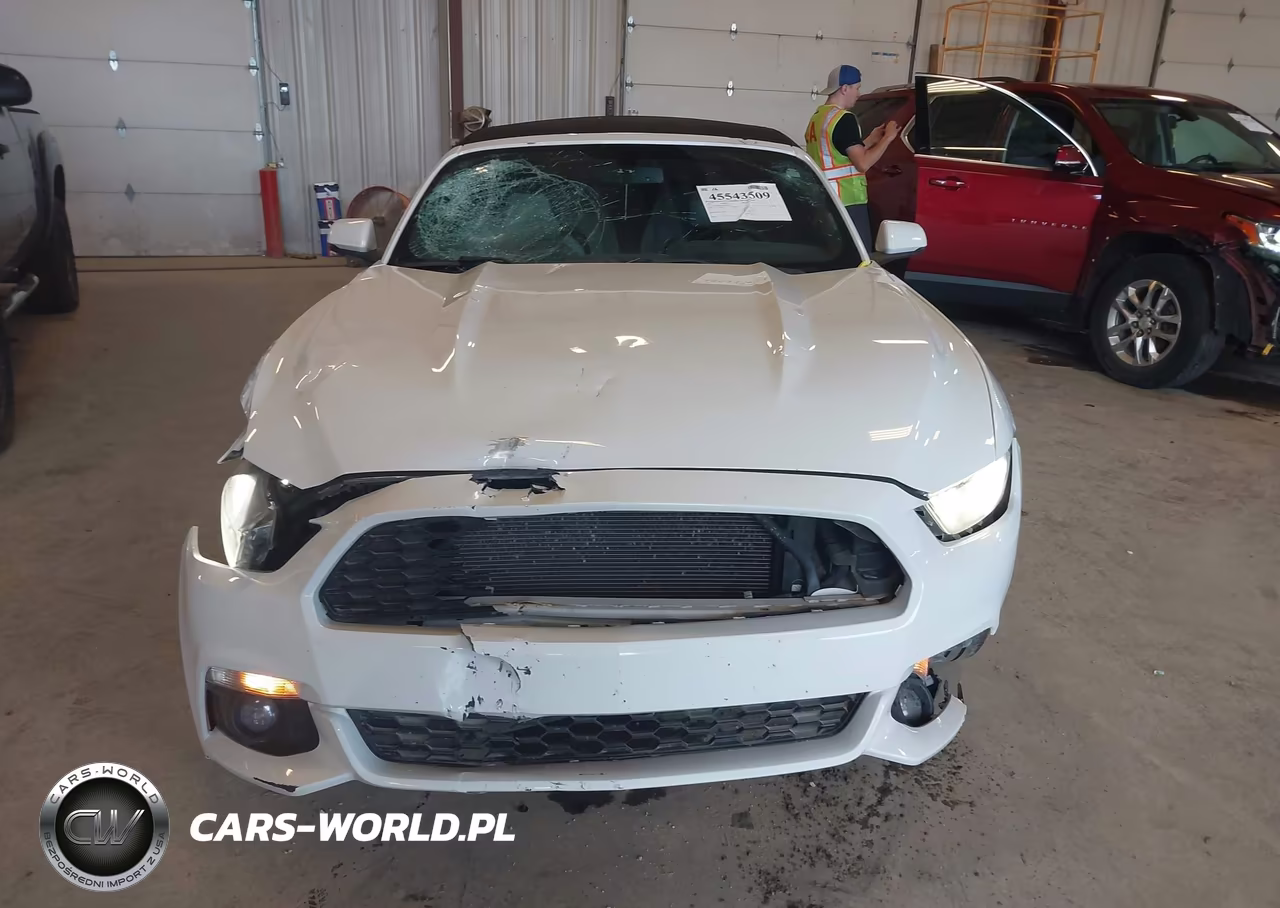 2017 Ford Mustang Ecoboost Premium VIN:1FATP8UH9H5307419 - 12