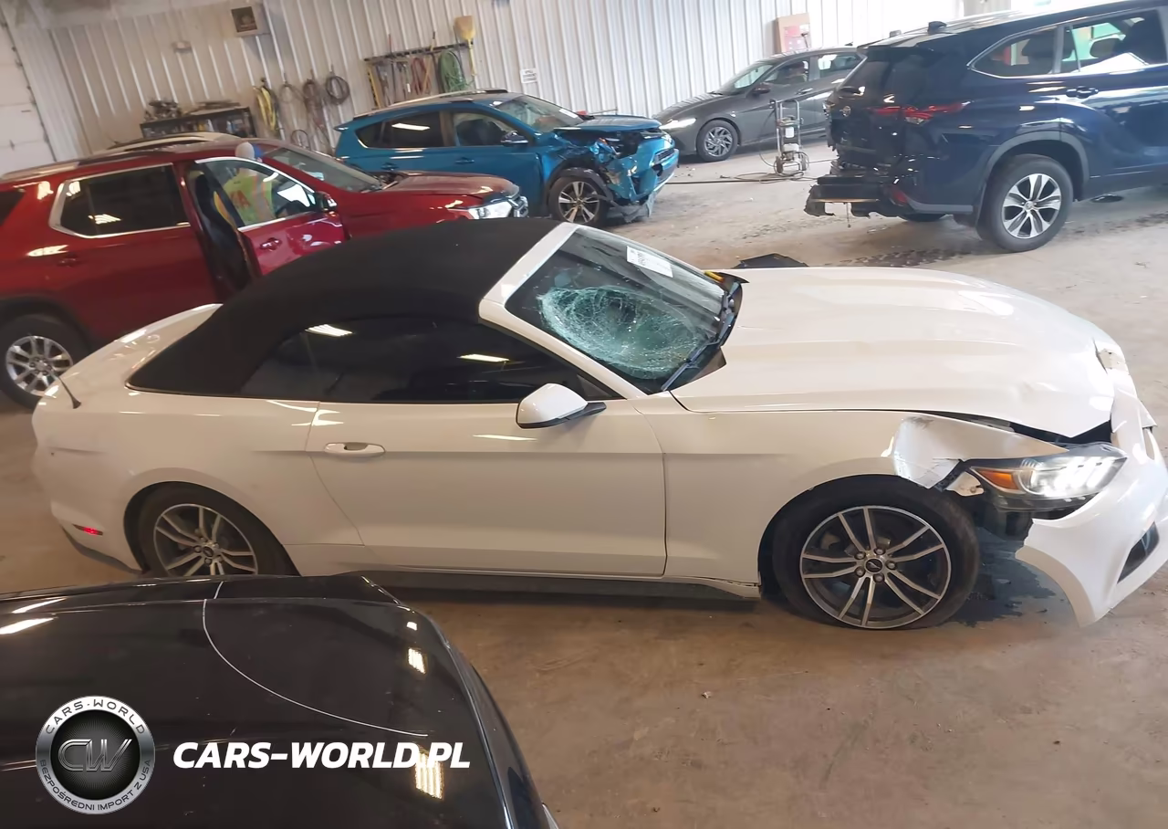 2017 Ford Mustang Ecoboost Premium VIN:1FATP8UH9H5307419 - 13