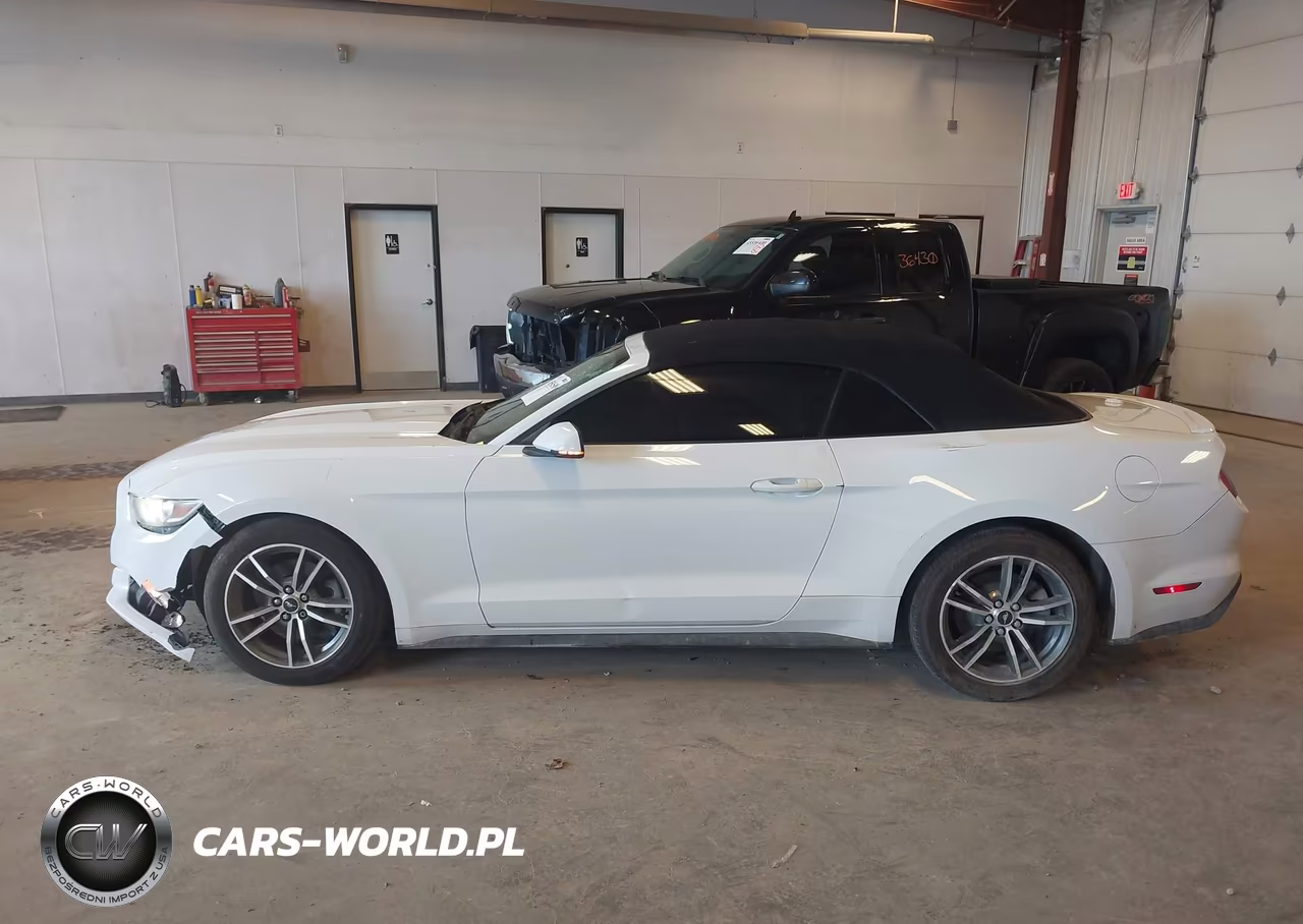 2017 Ford Mustang Ecoboost Premium VIN:1FATP8UH9H5307419 - 14