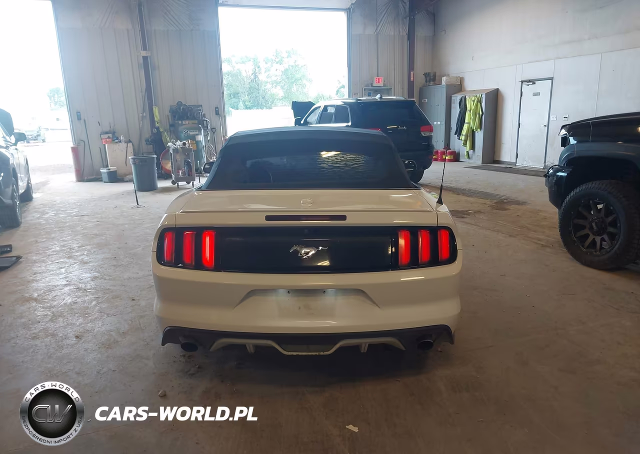 2017 Ford Mustang Ecoboost Premium VIN:1FATP8UH9H5307419 - 16