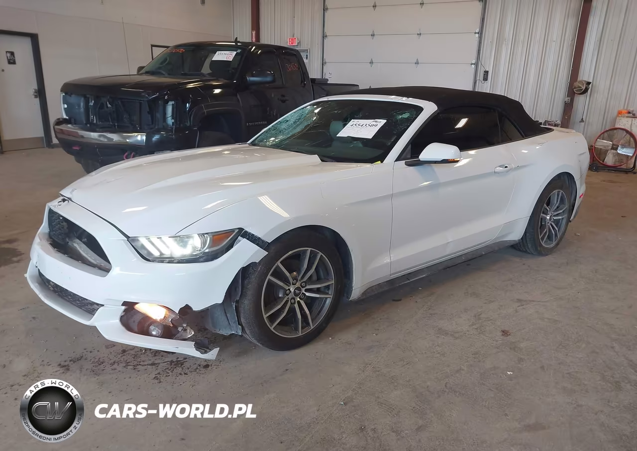2017 Ford Mustang Ecoboost Premium VIN:1FATP8UH9H5307419 - 2