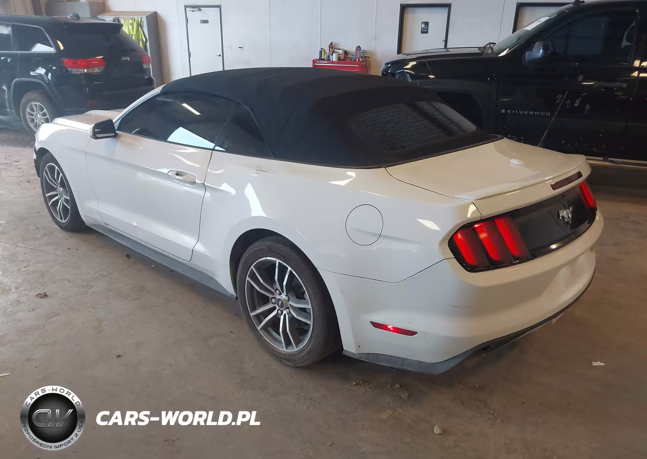 2017 Ford Mustang Ecoboost Premium VIN:1FATP8UH9H5307419 - 3