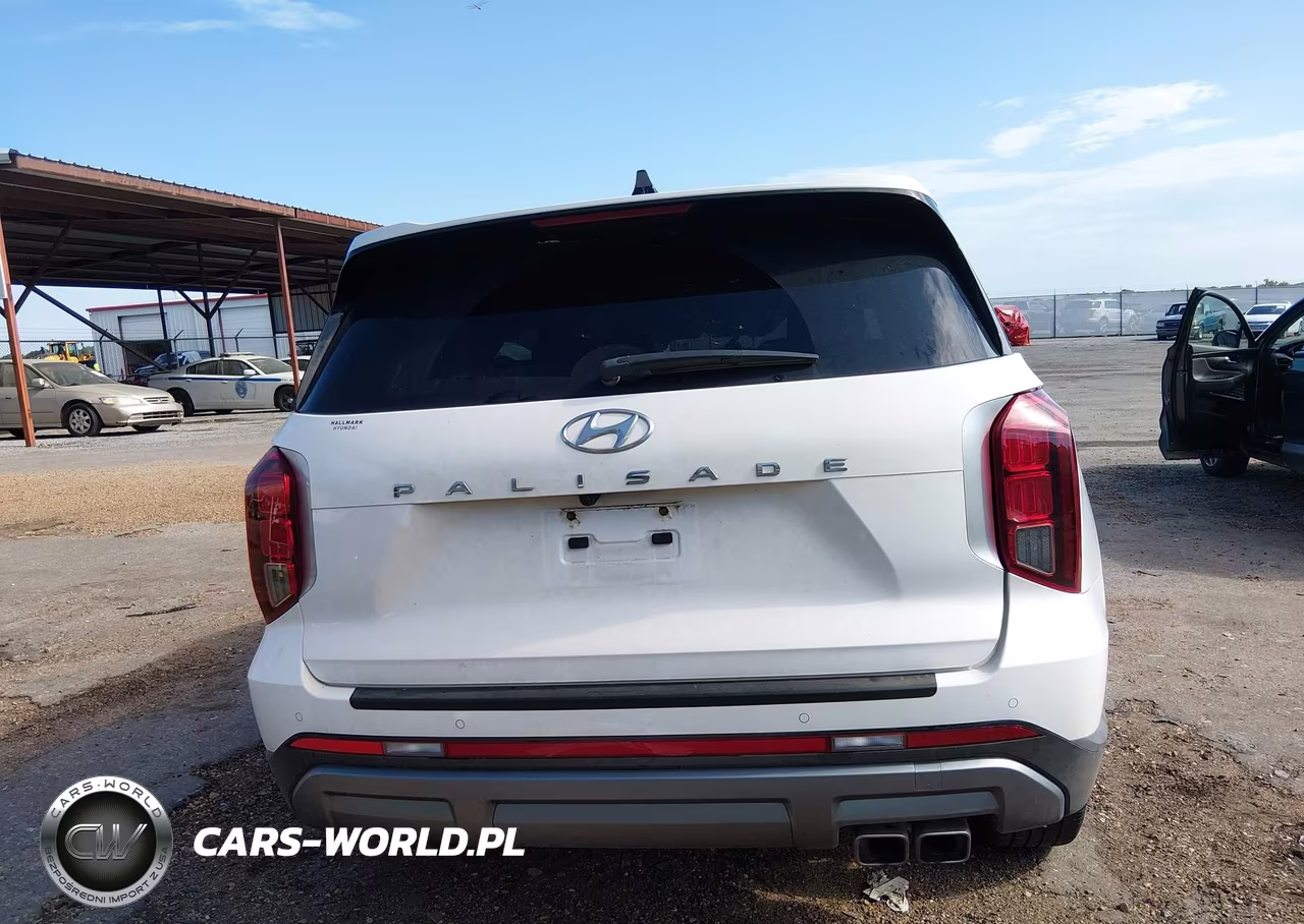 2025 Hyundai Palisade Sel Premium VIN:KM8R44GE9SU927638 - 17
