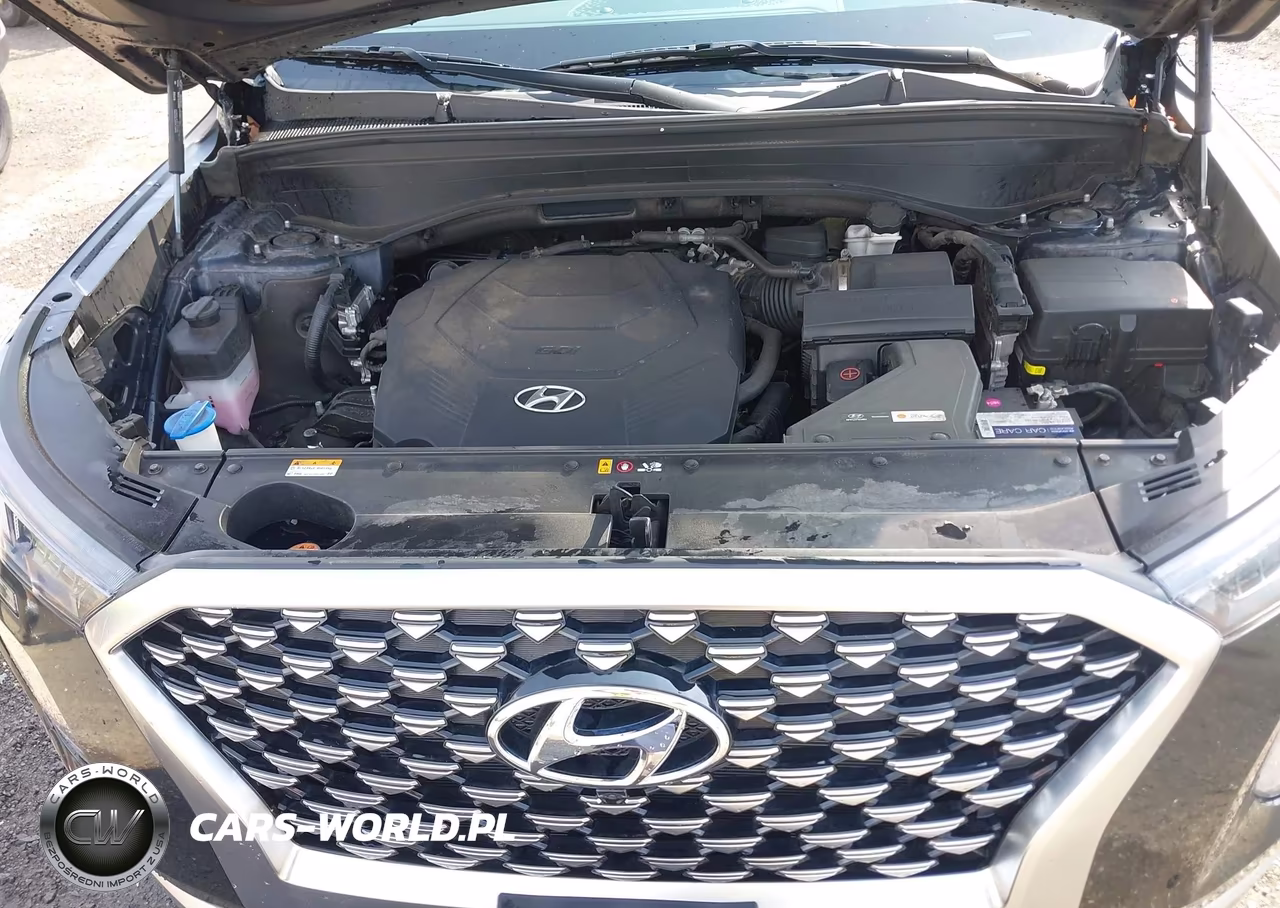 2021 Hyundai Palisade Calligraphy VIN:KM8R7DHE7MU232504 - 10