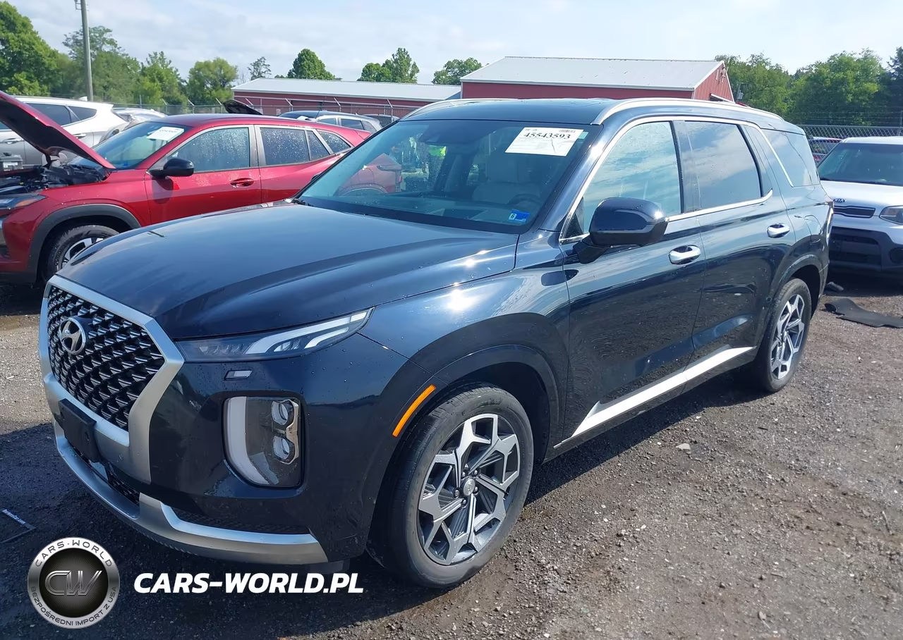 2021 Hyundai Palisade Calligraphy VIN:KM8R7DHE7MU232504 - 2