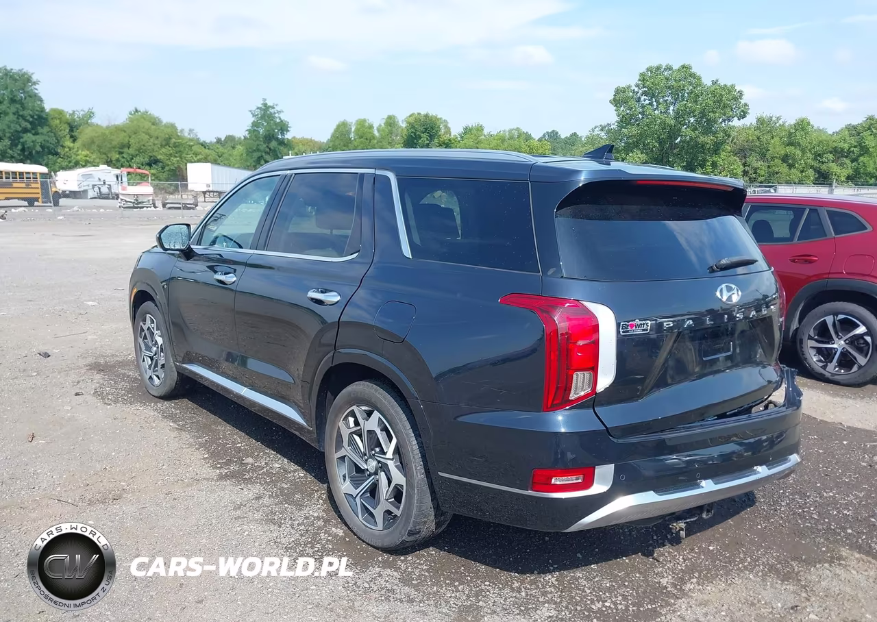 2021 Hyundai Palisade Calligraphy VIN:KM8R7DHE7MU232504 - 3