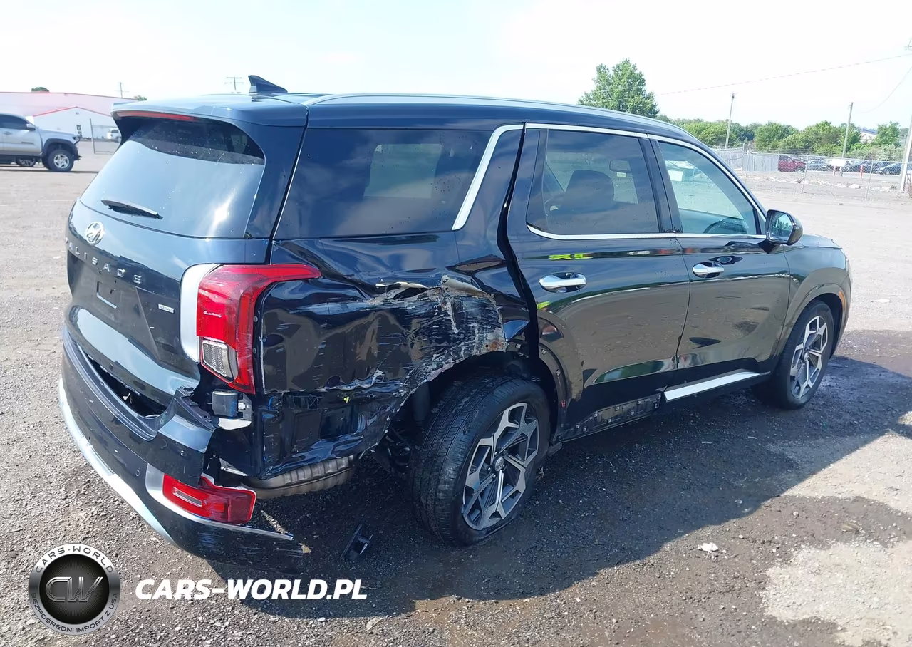 2021 Hyundai Palisade Calligraphy VIN:KM8R7DHE7MU232504 - 4