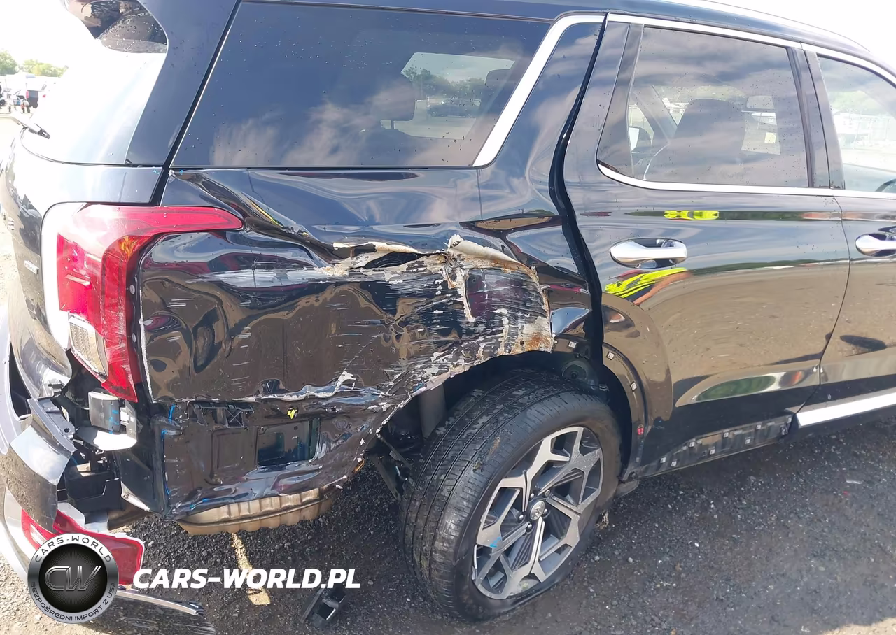 2021 Hyundai Palisade Calligraphy VIN:KM8R7DHE7MU232504 - 6