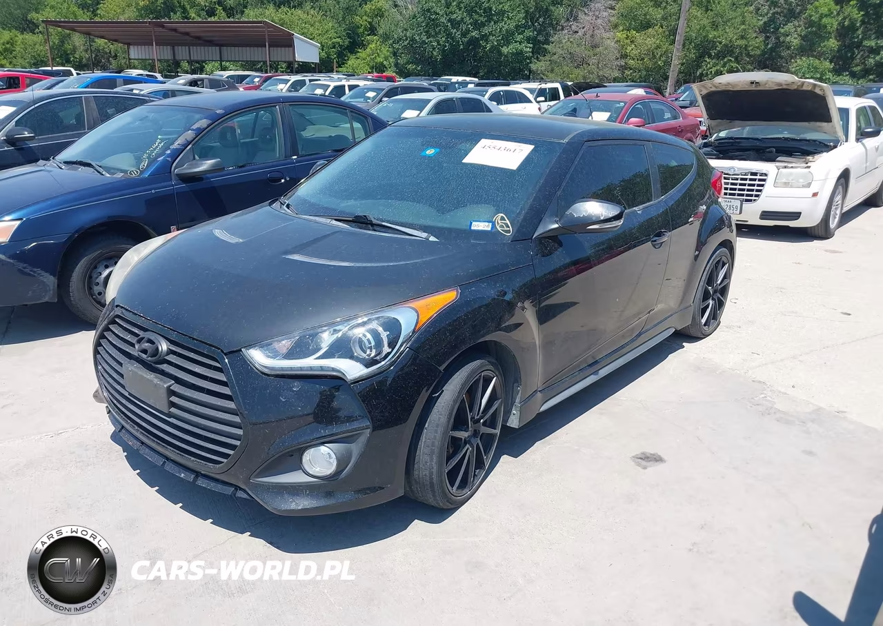 2013 Hyundai Veloster Turbo W-Black VIN:KMHTC6AE7DU169556 - 2
