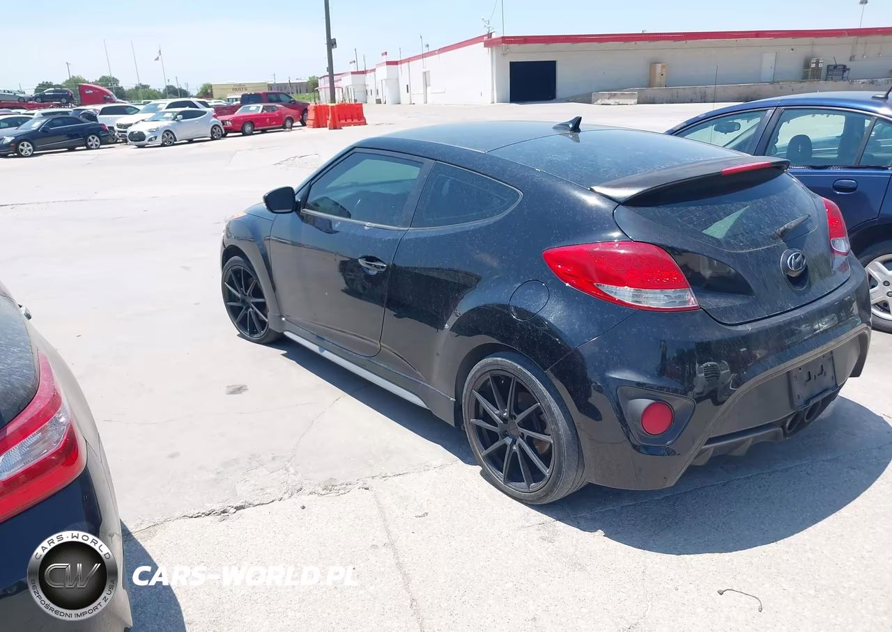 2013 Hyundai Veloster Turbo W-Black VIN:KMHTC6AE7DU169556 - 3