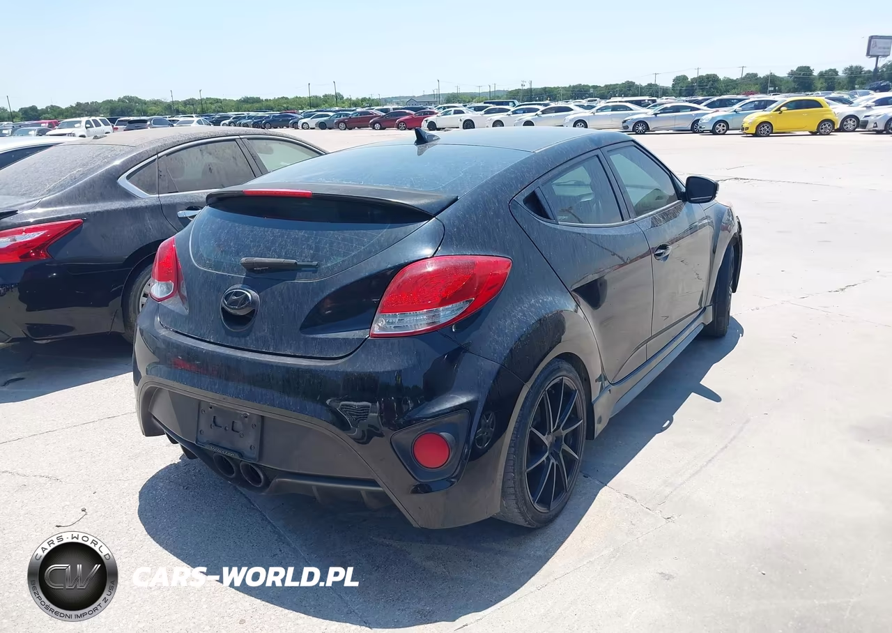 2013 Hyundai Veloster Turbo W-Black VIN:KMHTC6AE7DU169556 - 4