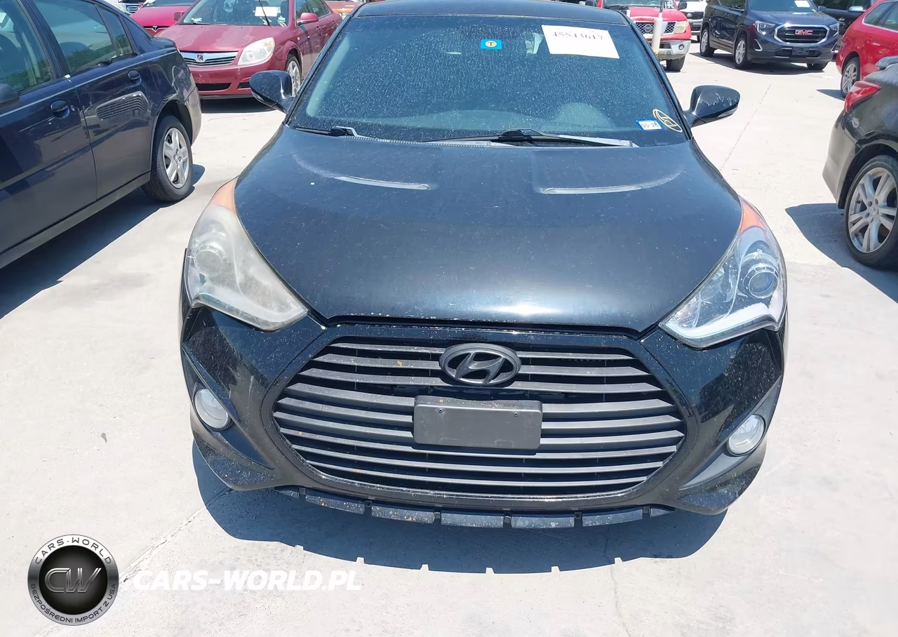 2013 Hyundai Veloster Turbo W-Black VIN:KMHTC6AE7DU169556 - 6