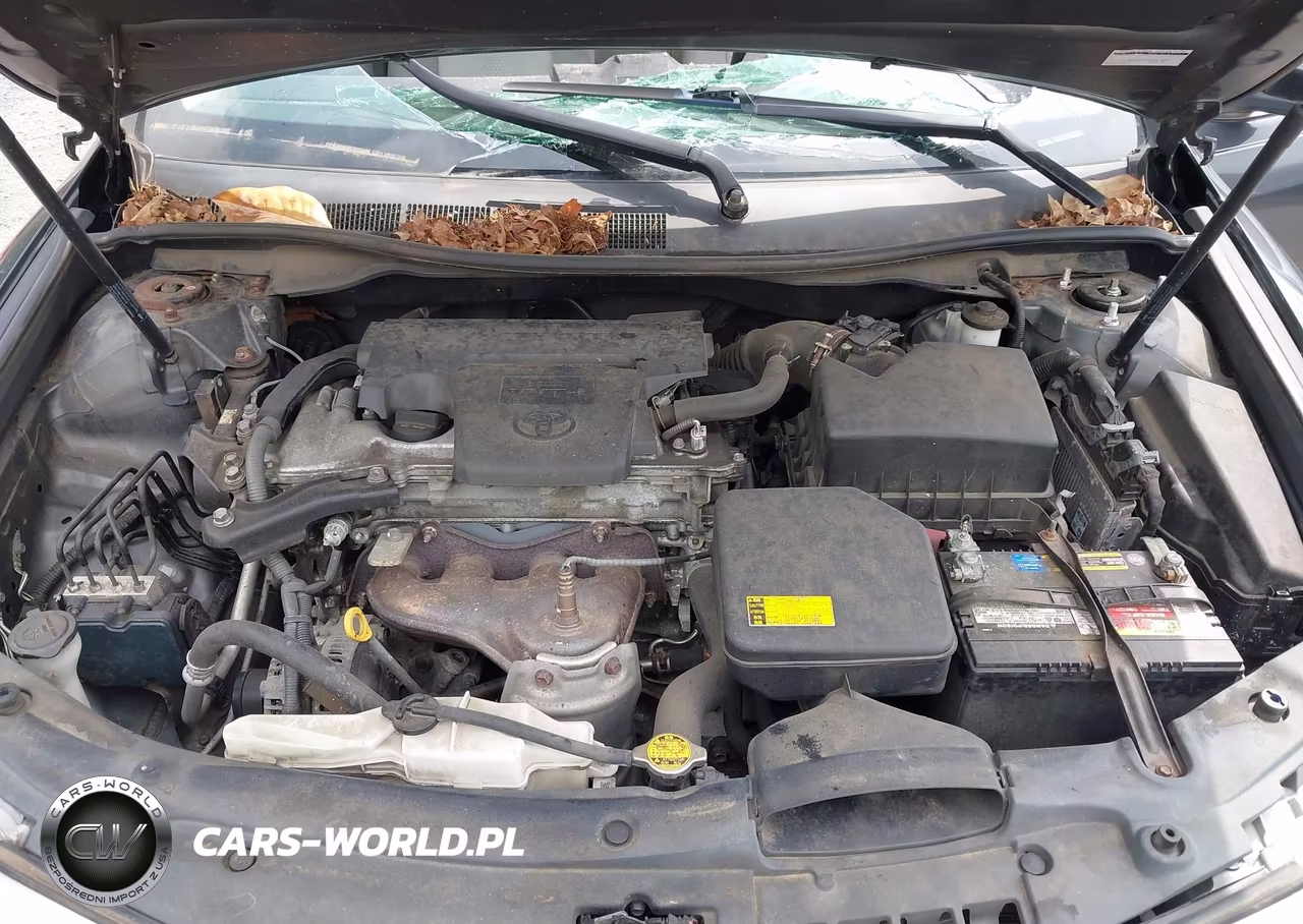 2012 Toyota Camry Xle VIN:4T1BF1FK5CU604819 - 10
