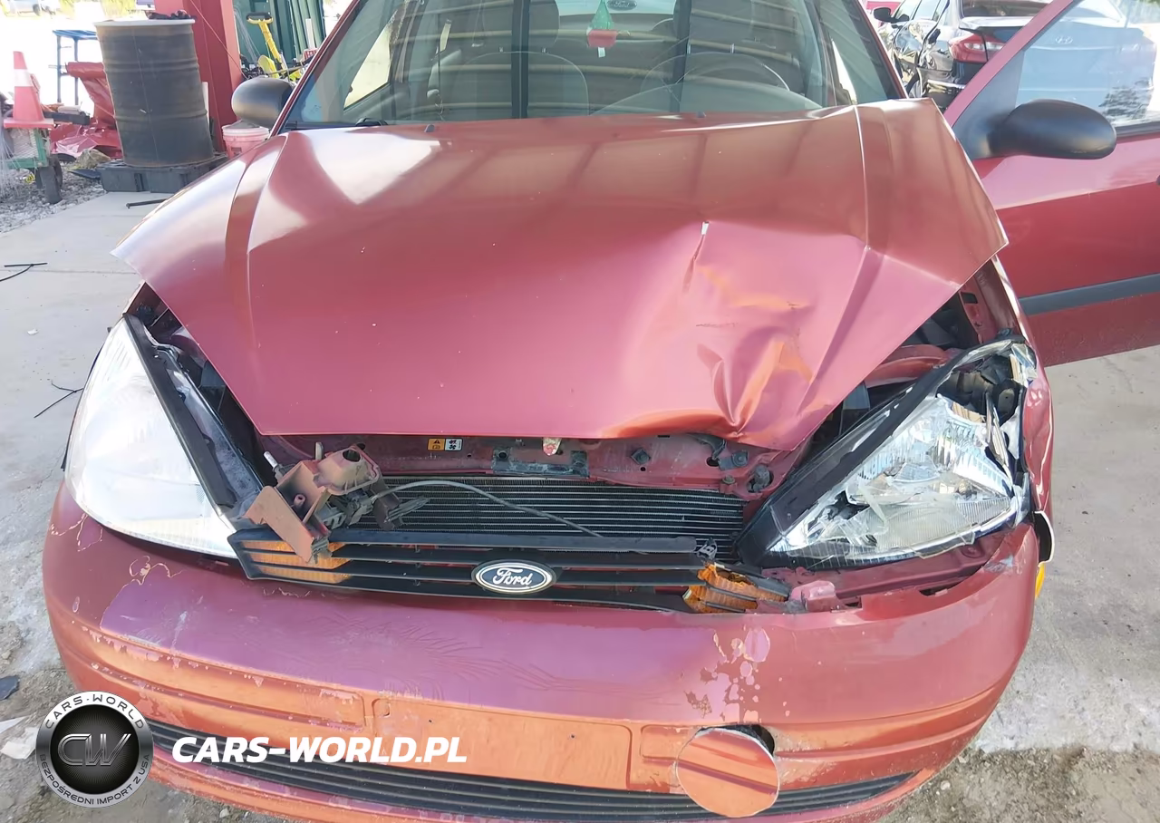 2004 Ford Focus Lx VIN:1FAFP33P44W154719 - 6