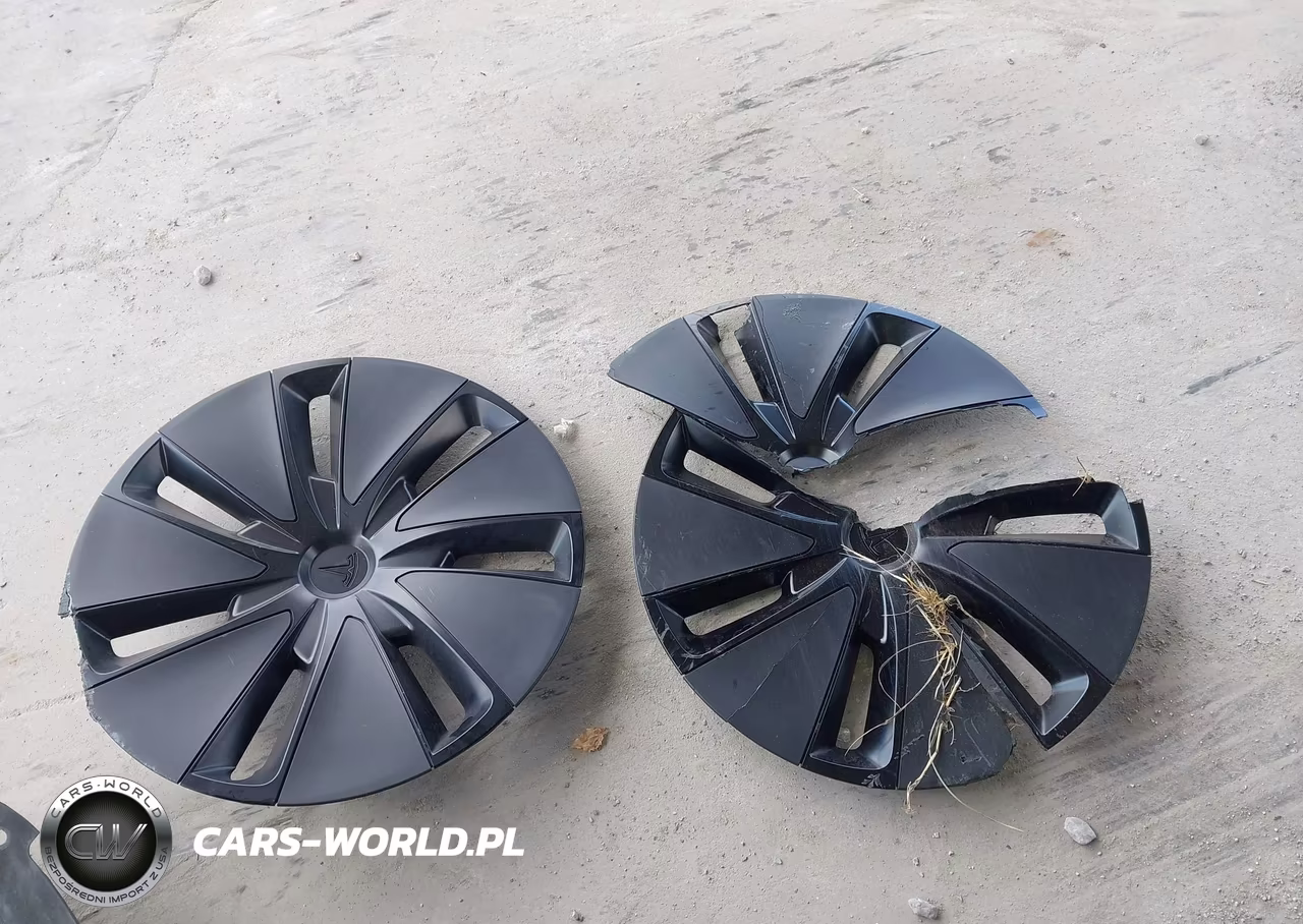 2025 Tesla Model 3 Long Range Rear-Wheel Drive-Standard Rear-Wheel Drive VIN:5YJ3E1EA5SF070362 - 11