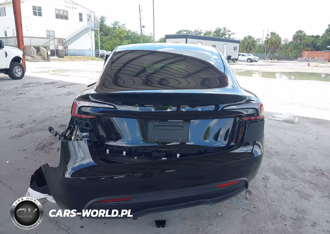 2025 Tesla Model 3 Long Range Rear-Wheel Drive-Standard Rear-Wheel Drive VIN:5YJ3E1EA5SF070362 - 16