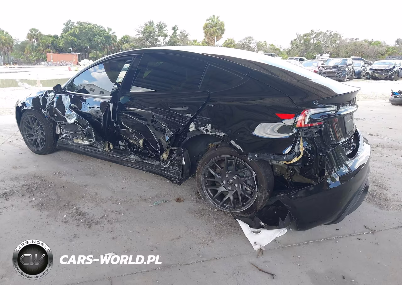 2025 Tesla Model 3 Long Range Rear-Wheel Drive-Standard Rear-Wheel Drive VIN:5YJ3E1EA5SF070362 - 3