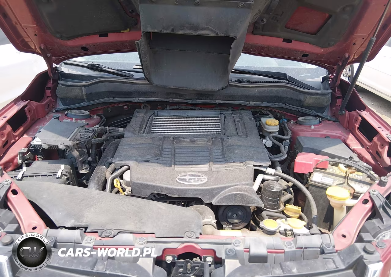 2014 Subaru Forester 2.0Xt Premium VIN:JF2SJGDC9EH426153 - 10