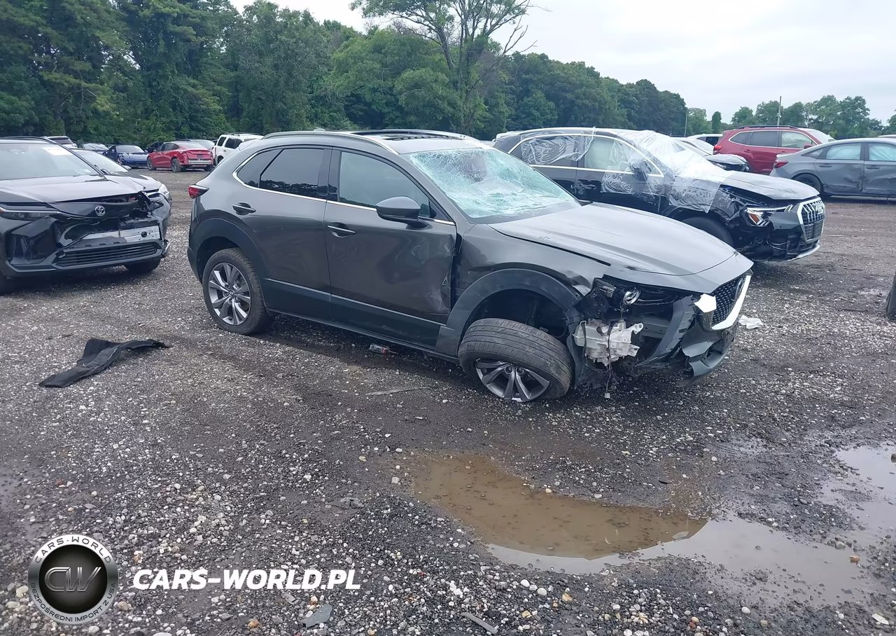 2021 Mazda Cx-30 Premium